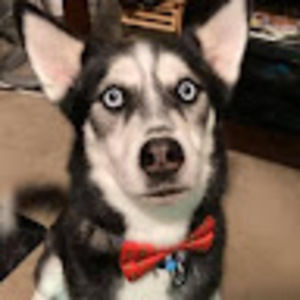 Meet your Posher, Jennie